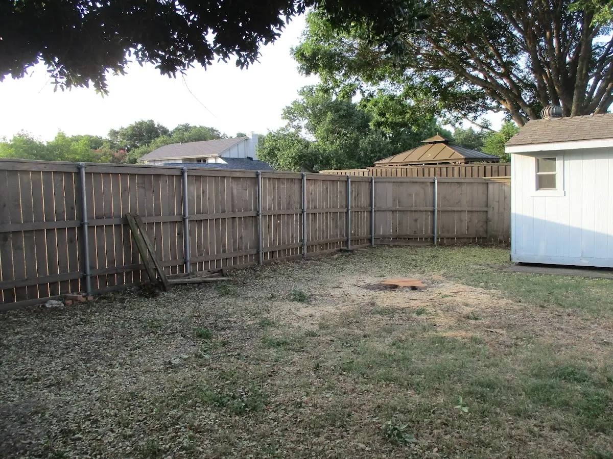 Cleared yard after professional tree removal in Little York