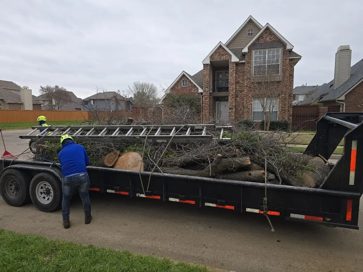 Expert Lot Clearing with proper safety equipment in Little York